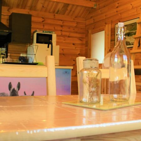 Chalet Estive Saint-Ybars Ngoại thất bức ảnh