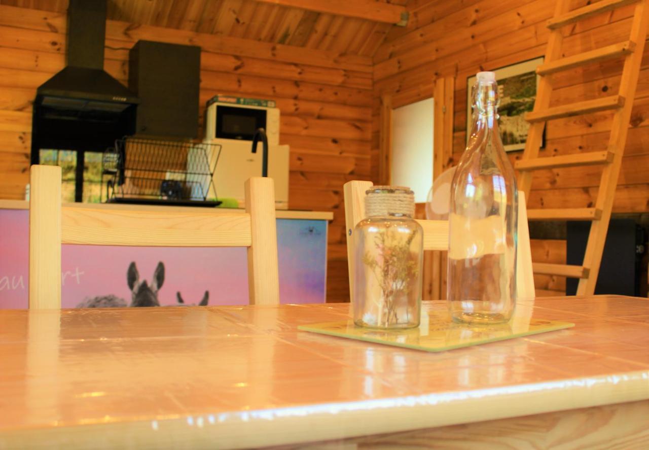 Chalet Estive Saint-Ybars Ngoại thất bức ảnh